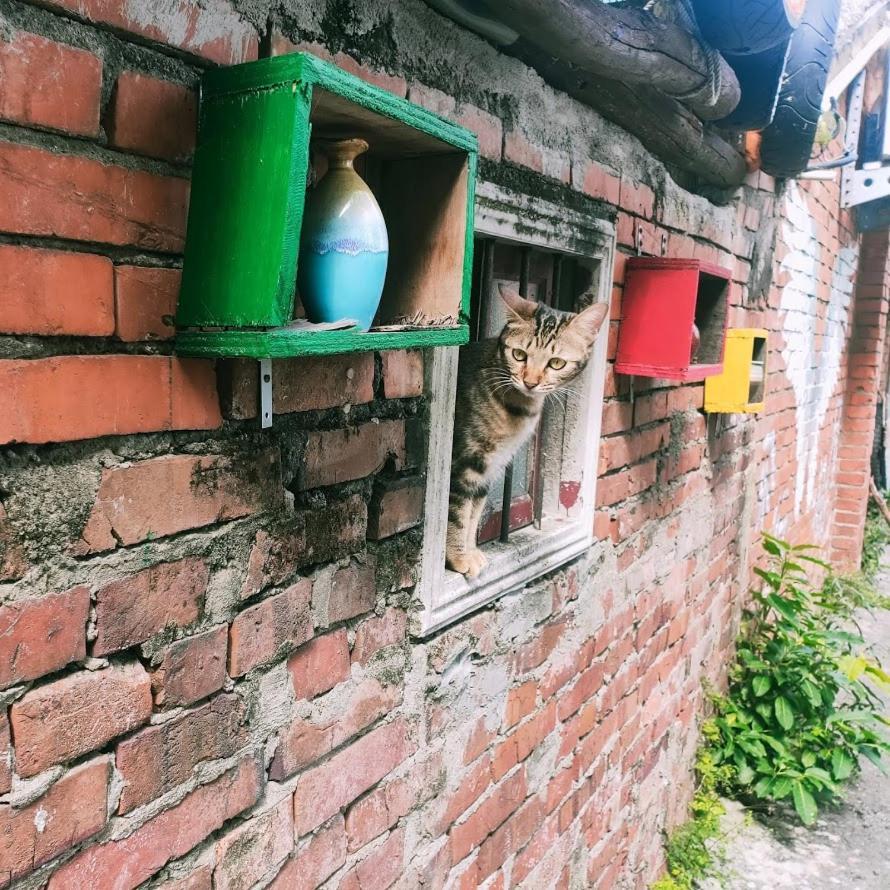 M Hostel貓客棧-清交大藝術眷村客棧 Hsinchu Exterior foto